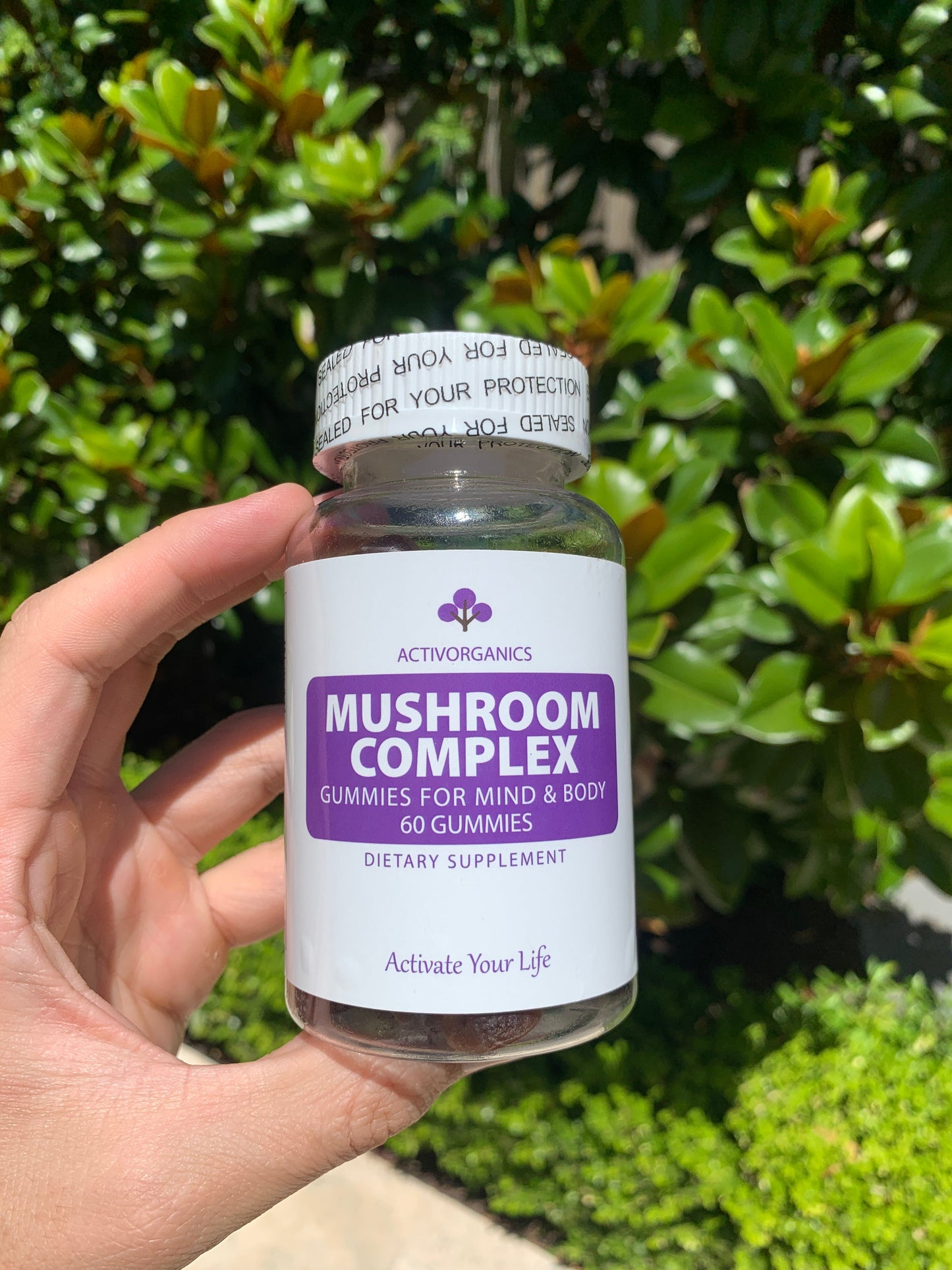 Mushroom Complex Gummies